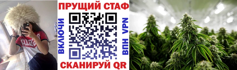 Alpha PVP Ивангород