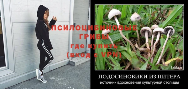 крисы Балахна