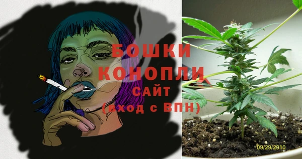 крисы Балахна