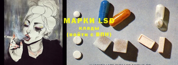 прущий лед Аркадак