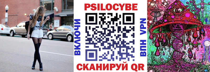 купить   Ивангород  Псилоцибиновые грибы Psilocybine cubensis 